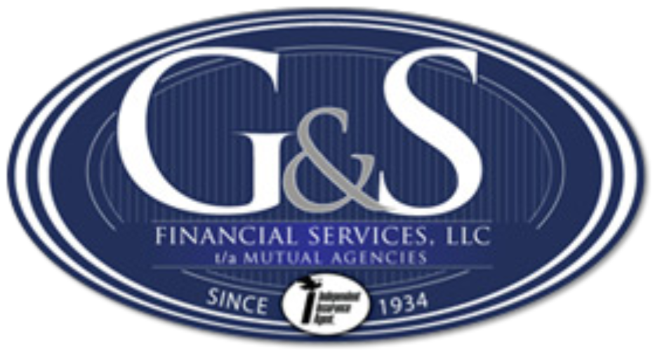 G  S Financial Svc